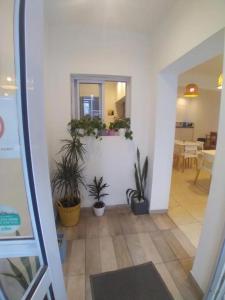 a hallway with potted plants and a mirror at Hotel Lobo de Mar in Mar del Plata +29 photos