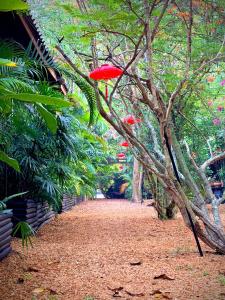 a red frisbee is hanging from a tree at Alcove Bungalow in Hinkong