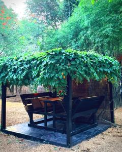 a bench with a tree growing on top of it at Alcove Bungalow in Hinkong