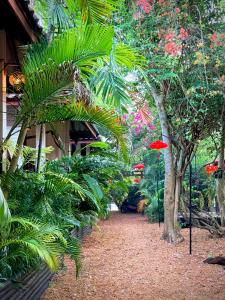 a path in a garden with a red umbrella at Alcove Bungalow in Hinkong