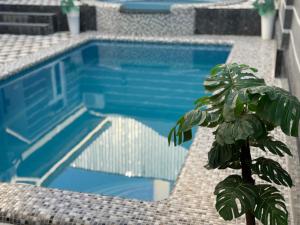 a blue swimming pool with a palm tree next to it at Art Tashkent Hotel in Tashkent
