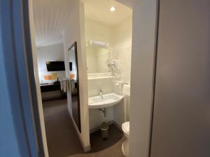 a bathroom with a sink and a toilet and a mirror at Hotel de Montaulbain in Verdun-sur-Meuse +87 photos