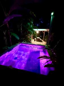 a swimming pool with purple lighting at night at LODGE COLIBRIS Piscine Privée vue panoramique mer et montagne pelée , 500 m plage dans un parc , Calme assuré Idéal pour découvrir le nord Caraïbes in Le Carbet