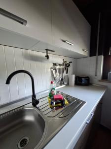 a kitchen sink with a toy on the counter at Haus Anna in Bodenmais +134 photos