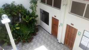 um corredor com plantas e uma televisão num edifício em Amazon Green Hotel em Iquitos