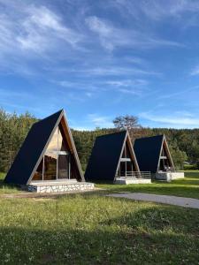 two houses with black roofs on a grass field at TriView in Žabljak