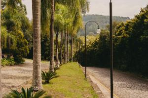 eine Straßenlaterne neben einer Straße mit Palmen in der Unterkunft Farina Park Hotel in Bento Gonçalves + 167 Fotos
