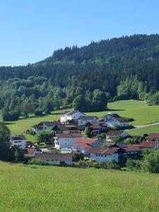 a small town in the middle of a green hill at Haus Anna in Bodenmais