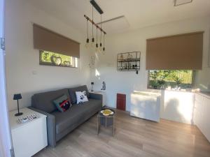 a living room with a couch and a kitchen at Tiny House 47 in Egloffstein +69 photos