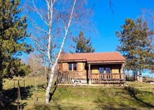 a log cabin with a dog standing in front of it at Chalet rocenel in Le Malzieu-Ville