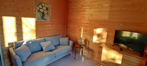 a living room with a blue couch and a television at Chalet rocenel in Le Malzieu-Ville