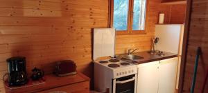 a kitchen with a stove and a sink in a cabin at Chalet rocenel in Le Malzieu-Ville