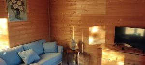 a living room with a blue couch and a television at Chalet rocenel in Le Malzieu-Ville +8 photos