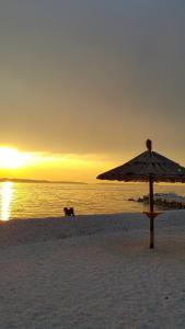 a dog walking on a beach with an umbrella at Apartmani Val in Pula