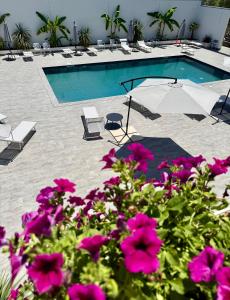 a swimming pool with purple flowers in front of it at Omai suite in Ortona