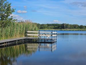 a dock with a bench on a lake at Agroturystyka Golubie in Ełk