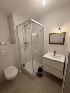 a bathroom with a shower and a toilet and a sink at Couett' Hotel Rumilly in Rumilly