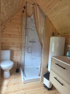 a bathroom with a shower and a toilet in a room at Rando-Yourte in Paluel