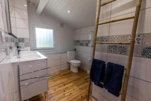 a bathroom with a toilet and a sink and blue towels at Gîte du mouta in Saint-Justin +32 photos