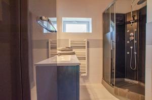 a bathroom with a blue counter and a mirror at Les prés saint jean in Champigny-sur-Aube +10 photos