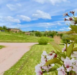 a path with pink flowers next to a dirt road at The Baiting House in Upper Sapey
