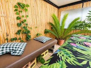 a room with a couch and some plants at WHY NOT GUESTHOUSE in Bothaville