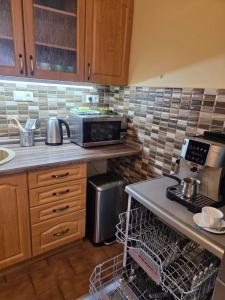 a kitchen with a microwave and a dishwasher at U Macháčků - Lipno in Lipno nad Vltavou