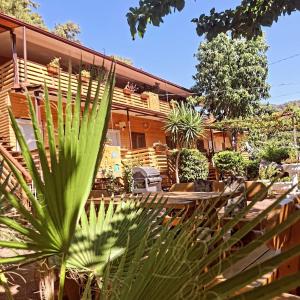 a house with a large green plant in front of it at Chimera Pia Aparts in Cıralı
