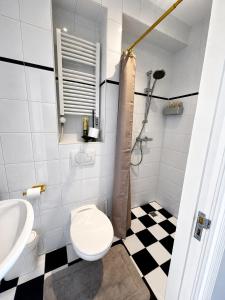 a bathroom with a toilet and a sink at Maison Lumière - Private Rooftop terrace in Amsterdam +8 photos