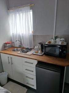 a kitchen counter with a microwave and a sink at Koeroebees 1 in Springbok