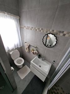 a bathroom with a toilet and a sink and a mirror at Koeroebees 1 in Springbok