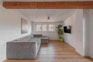 a living room with a couch and a window at Mountain View Suites in Tisens