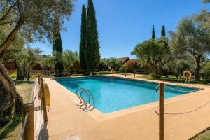a large swimming pool in a yard with trees at Kampaoh Alquézar in Alquézar