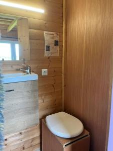 a bathroom with a toilet and a sink at Nuit insolite en Tiny House in Questembert +11 photos