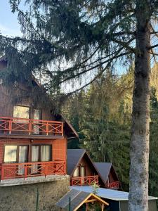 a house with a tree in front of it at Vila Casa Familiei Poiana Braşov in Poiana Brasov +41 photos