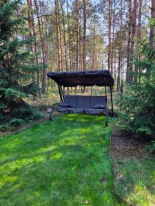 a picnic table in the grass in the woods at ChillForest SPA in Tomczyn