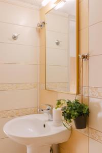 a bathroom with a sink and a mirror and a plant at Perla Apartments in Agia Pelagia +40 photos