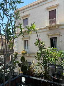 a building with a bunch of plants in front of it at Crispi Accomodation B&B in Catania