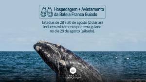 a poster of a whale in the water at Pousada Solar dos Lírios - Praia do Rosa in Praia do Rosa