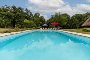 ein Swimmingpool mit blauem Wasser in einem Garten in der Unterkunft Gîte du caché in Labrit