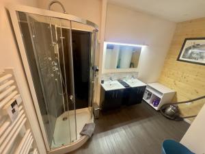 a bathroom with a shower and a sink at Les Gîtes de Chauvet in Gap +42 photos