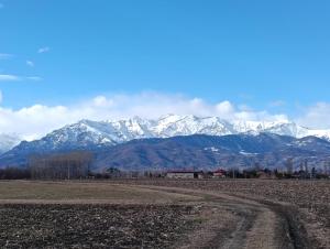 a field with snow covered mountains in the background at Corte Tegassa Pool & Spa in Pinerolo