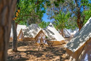 a group of tents in the shade of trees at Kampaoh Delta del Ebro in Poblenou del Delta