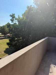 a concrete wall with a bush behind it at Rooms Residence Rubiera in Rubiera