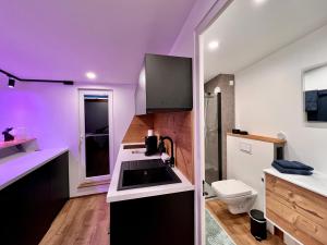 a purple kitchen with a sink and a toilet at Fewo im Taubenhaus in Bad Lausick +20 photos