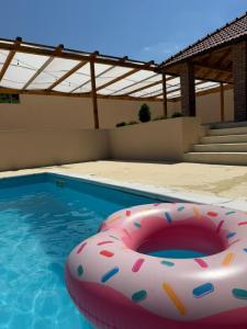 a swimming pool with a pink inflatable raft in the water at Villa Tri tačke in Debeljaci