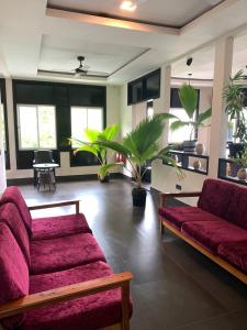 a living room with a couch and some plants at Seaside Villa in Dhiffushi