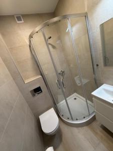 a bathroom with a shower and a toilet and a sink at Tedi 2 in Rewal +54 photos
