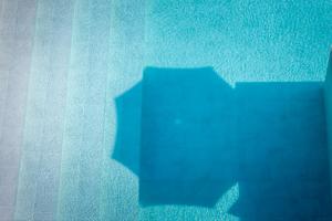 a picture of a fish in the water at JADORE Deluxe Studios in Sunny Beach