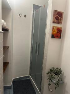 a shower with a glass door in a bathroom at Casetta di Pucci in Capitone +36 photos
